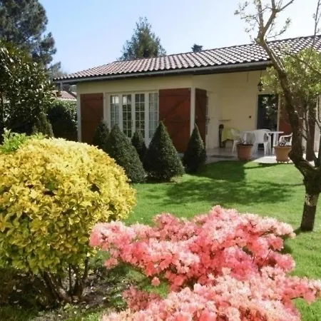 House Luisa Soustons